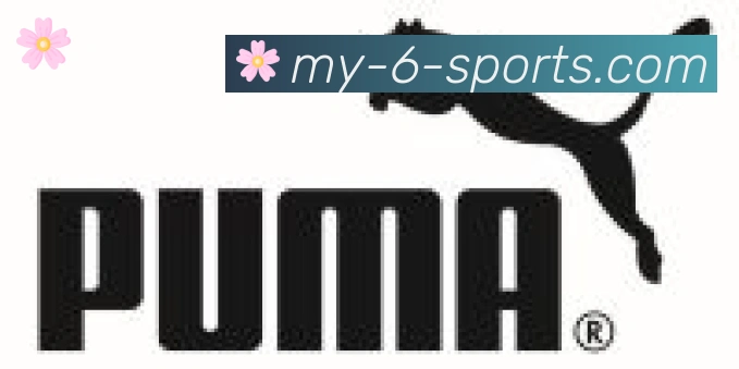 6t体育合作伙伴